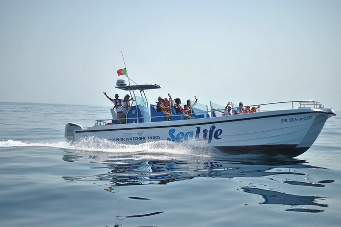 Sealife Sea Safari, Dolphin Watching with Marine Biologist's Lagos - Lagos dolphin watching feels more like a wildlife search than a ride