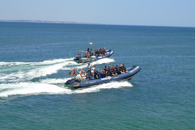 Sealife Sea Safari, Dolphin Watching with Marine Biologist's Lagos - Who this Lagos dolphin trip is best for