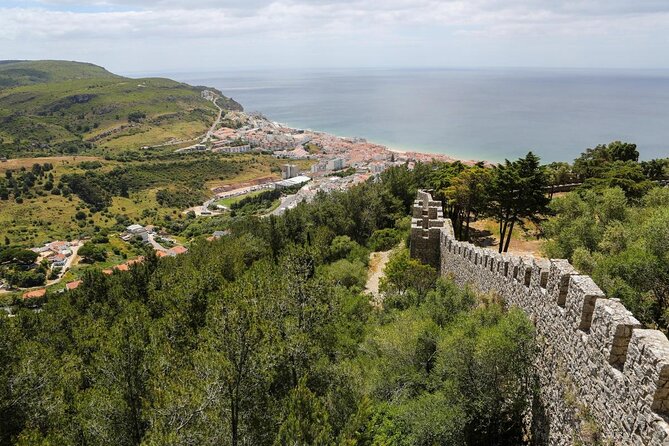 Sesimbra: Arrábida Dolphin and Whale Watching tour with biologist - Key things to know before you go