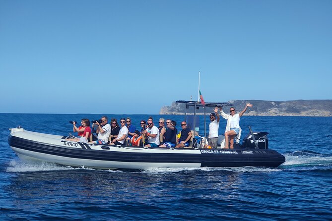 Sesimbra: Arrábida Dolphin and Whale Watching tour with biologist - Why Arrábida Maritime Park is such a good place for dolphin and whale spotting