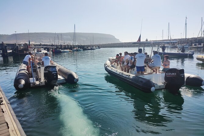 Sesimbra: Arrábida Dolphin and Whale Watching tour with biologist - Dolphin and whale viewing etiquette that you’ll feel on the boat