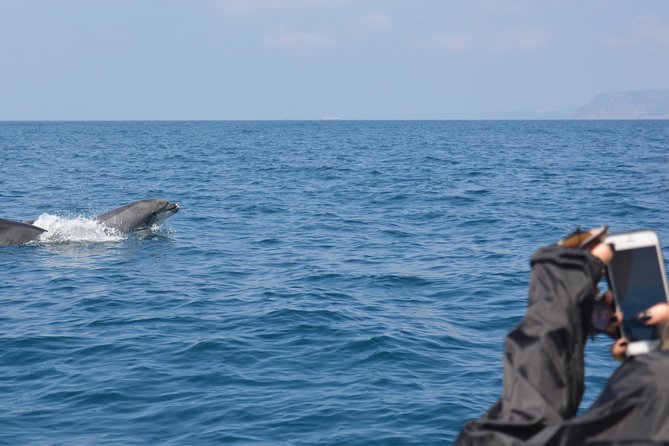 Sesimbra: Arrábida Dolphin and Whale Watching tour with biologist - The snorkel and swim stop at Ribeira do Cavalo area