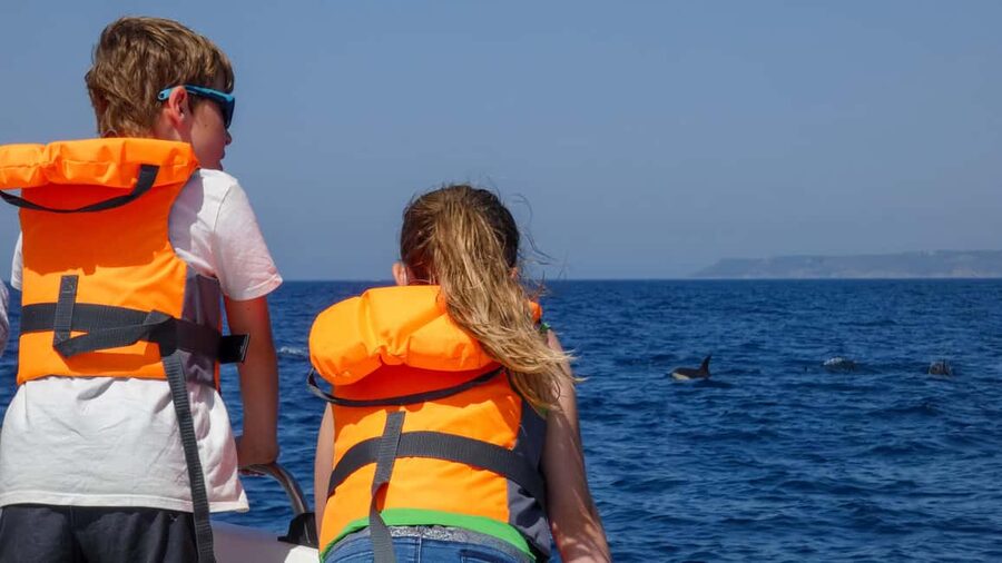 Sesimbra: Arrábida Dolphin and Whale Watching with Biologist - Who Should Book This Tour, and Who Might Feel Better Elsewhere