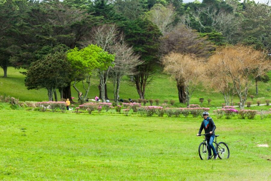 Sete Cidades: Kayaking and Biking Adventure - Price and value: what $41 buys you, and what it does not