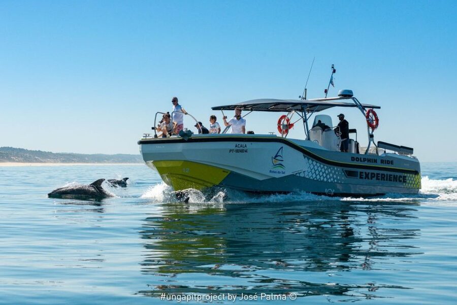 Setúbal: Dolphin-Watching Boat Tour - Why Setúbal and the Arrábida coast work so well for dolphins