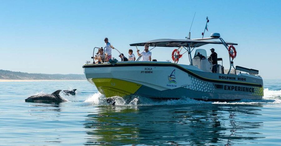 Setúbal: Dolphin-Watching Boat Tour - What to wear: open-boat reality, especially in winter