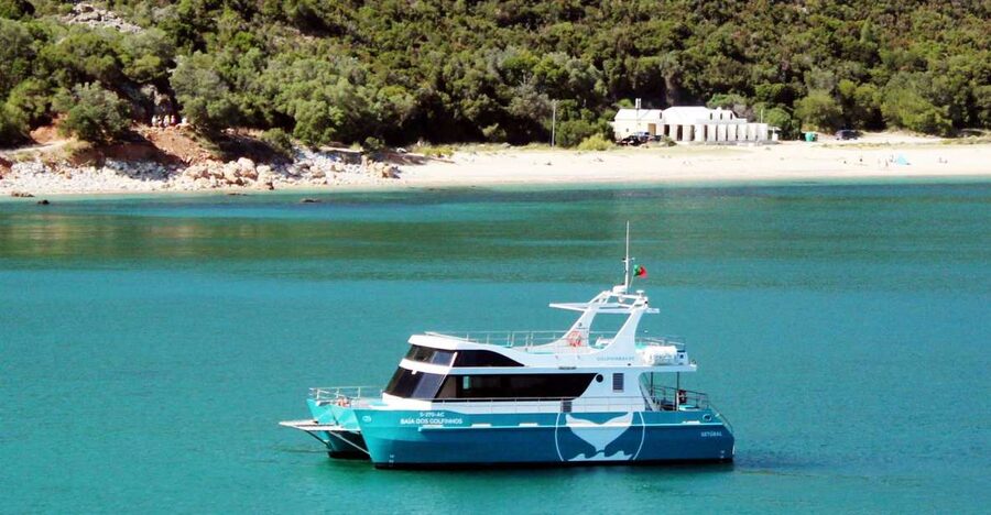 Setúbal: Dolphin Watching Tour - Moscatel de Setúbal and the Start of the Dolphin Search