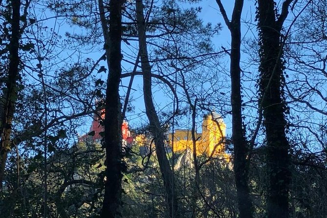 Sintra Cabo da Roca Cascais Estoril Private Tour - Price and what makes it feel fair at about $260 per person