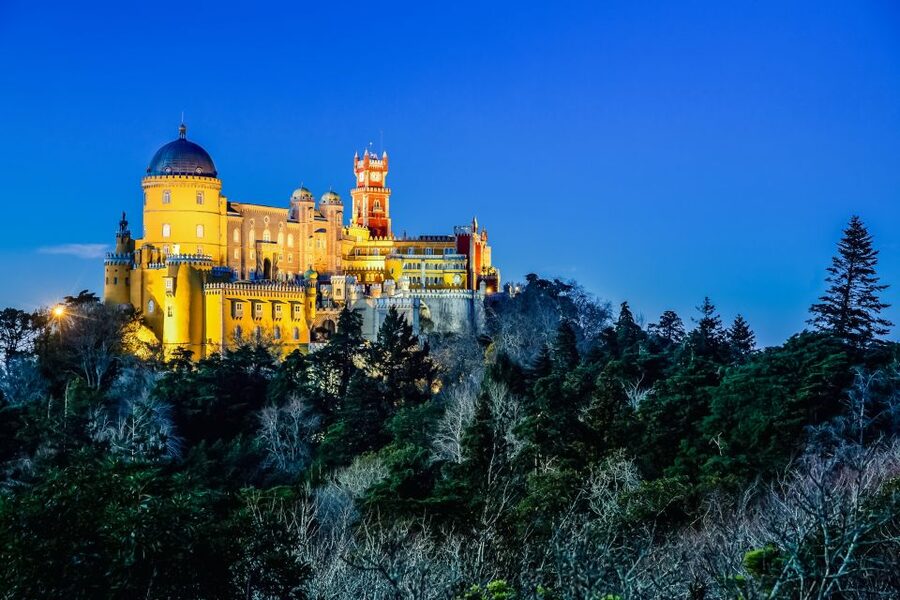 Sintra: Pena Palace and Park Entrance Ticket - Pena Park Grounds: Winding Paths and Exotic Trees That Were Planned