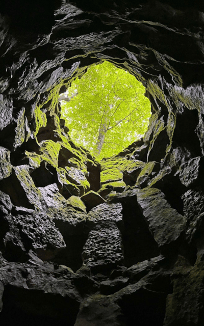 Sintra: Quinta da Regaleira Skip-the-Line Ticket - Skip-the-line tickets: what you likely will notice at the entrance