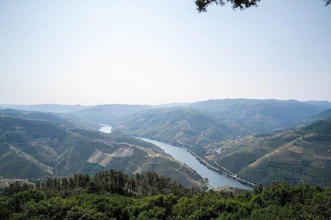Small Group Douro Valley Wine Tour with Lunch and Cruise - Lunch at the Estate: 3 Courses and Douro Wine Pairing