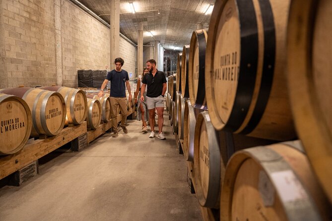 Small Group Douro Valley Wine Tour with Lunch and Cruise - Second Estate: Another Premium Visit, Another Set of Flavors