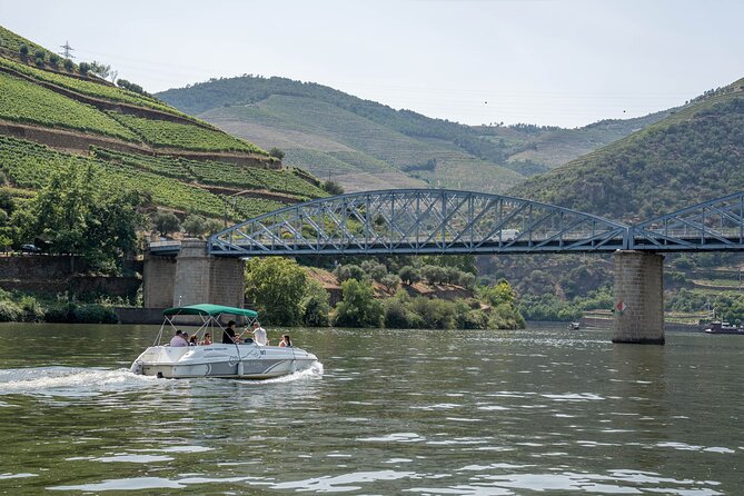 Small Group Douro Valley Wine Tour with Lunch and Cruise - Porto Pickup, the 8-Seat Van, and Realistic Timing