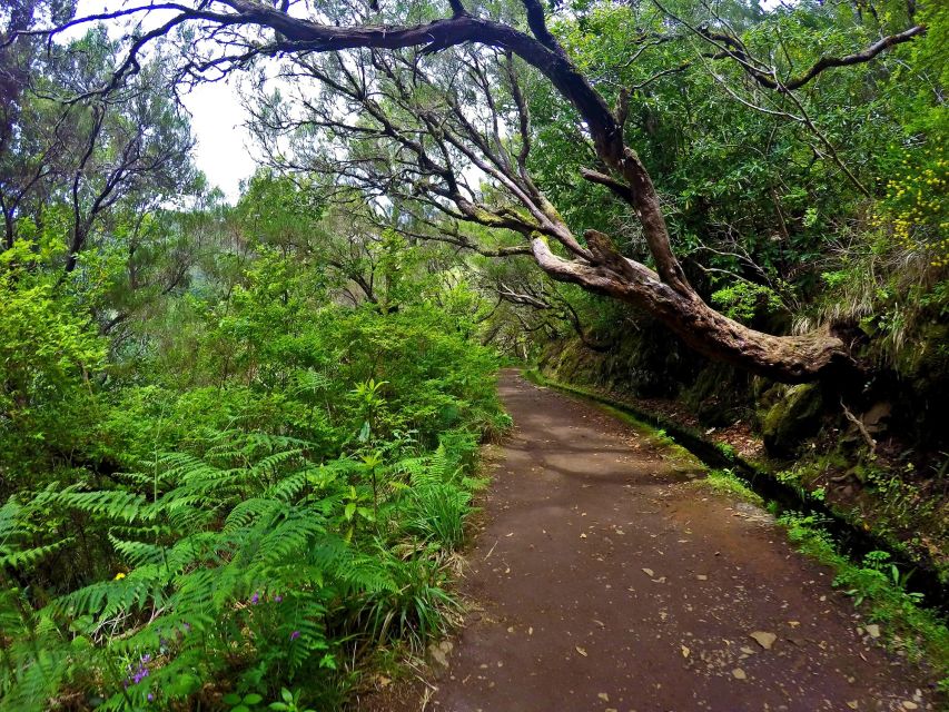 Small Group Walks Rabaçal 25 Fontes - Price and value: why $53 can make sense for this type of hike