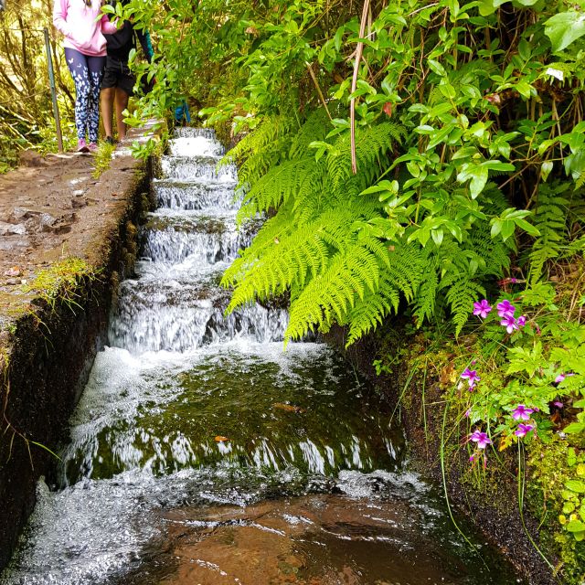 Small Group Walks Rabaçal 25 Fontes - Why the Rabaçal 25 Fontes Levada Walk Hits Different