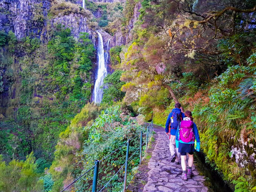Small Group Walks Rabaçal 25 Fontes - Into the Laurissilva: Rabaçal forest and irrigation canals