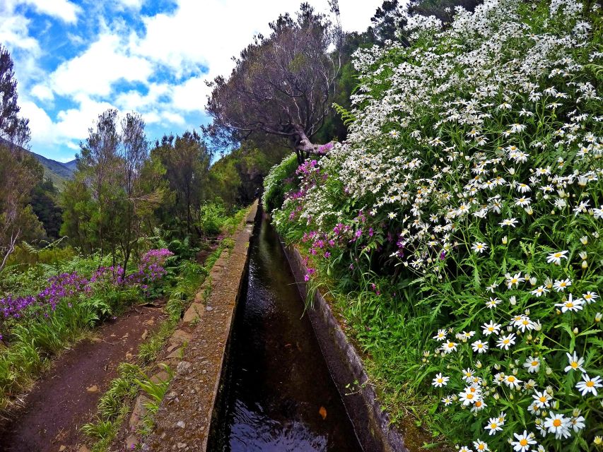 Small Group Walks Rabaçal 25 Fontes - Tunnel time: narrow, wet, and the moment to be ready