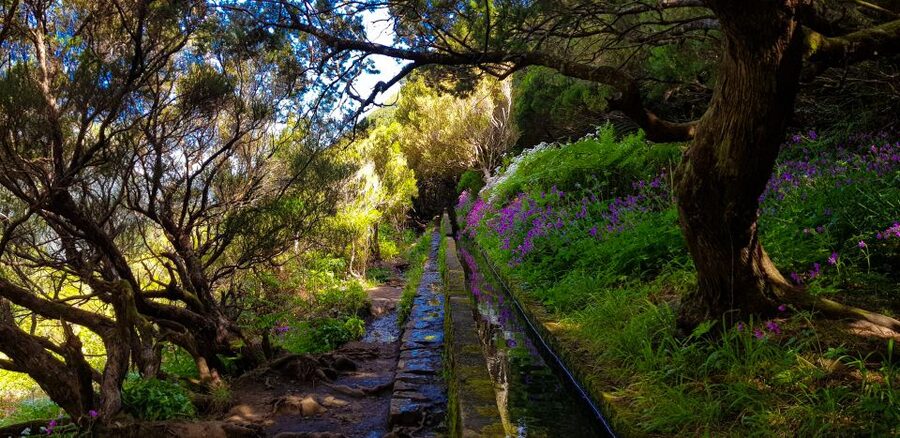 Small Group Walks Rabaçal 25 Fontes - The 25 springs lagoon and waterfall payoff