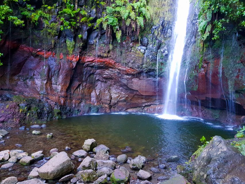 Small Group Walks Rabaçal 25 Fontes - The levada history lesson, plus why this route is famous