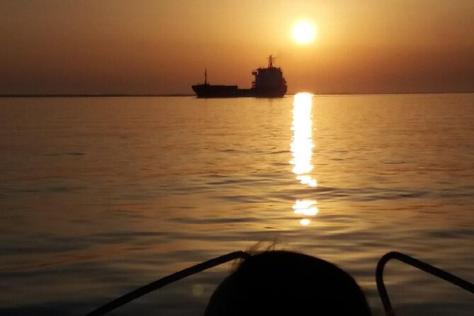 Sunset Tour | Ria Formosa - From Faro - Ria Formosa wildlife, tides, and marsh views you might spot