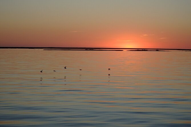Sunset Tour | Ria Formosa - From Faro - Timing tips so you catch the best light
