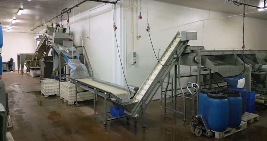 Tavira: Olive Factory Tour and Tasting - Logistics That Actually Matter in Tavira
