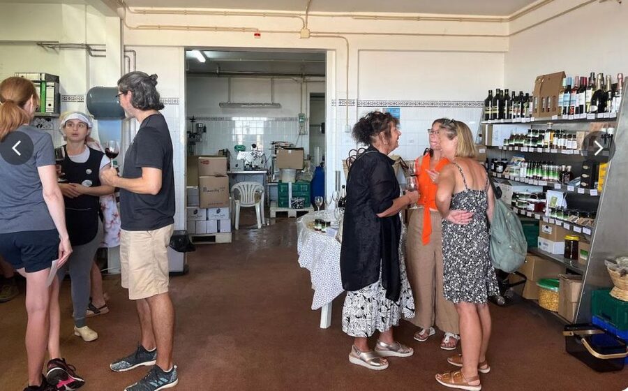 Tavira: Olive Factory Tour and Tasting - Who This Tour Fits Best, and Who Should Skip It