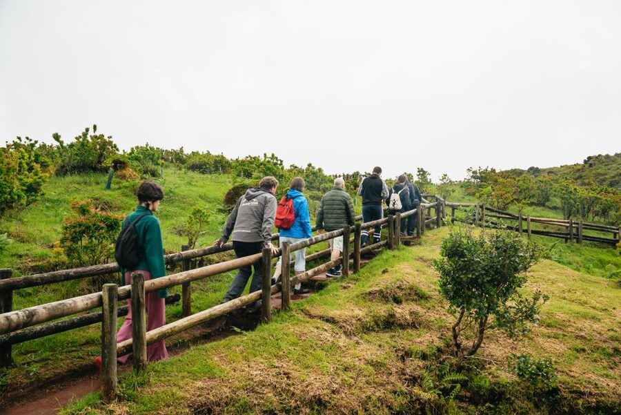 Terceira: Algar do Carvão Lava Caves Tour - Key takeaways