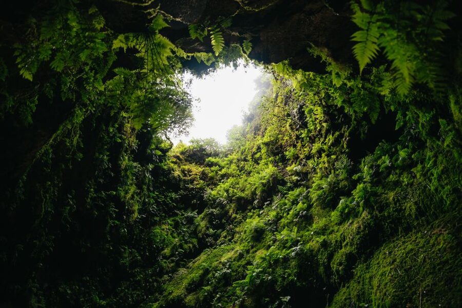 Terceira: Algar do Carvão Lava Caves Tour - The drive around Terceira: why the road time adds value