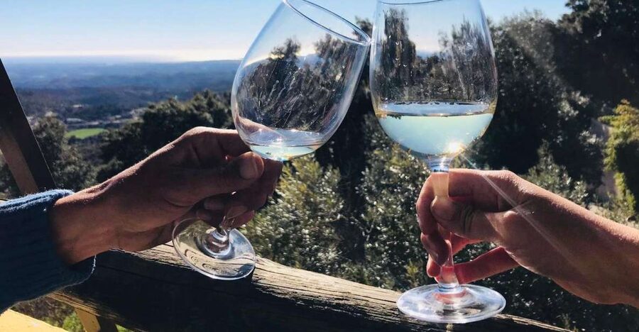 The Real Algarve: 2 Boutique Wineries & Silves Tour - Why this 7-hour Algarve mix of wine and Silves works