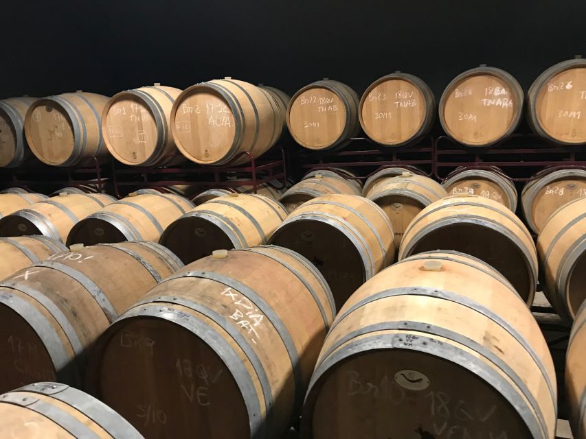 The Real Algarve: 2 Boutique Wineries & Silves Tour - Lagoa winery stop: tasting first, then learning the process