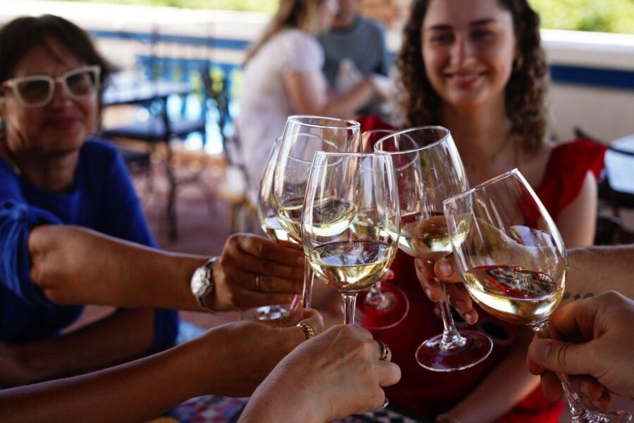 The Real Algarve: 2 Boutique Wineries & Silves Tour - Value at about $106: where the money really goes