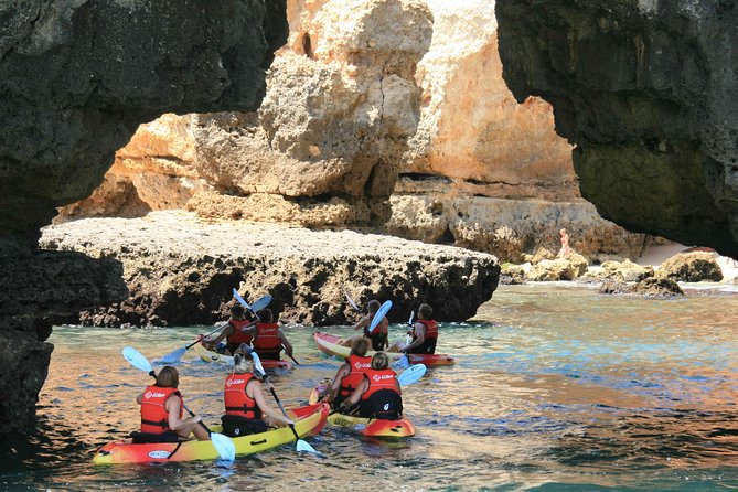 Unlock the Magic of Ponta da Piedade by Kayak - Lagos - Key highlights worth caring about