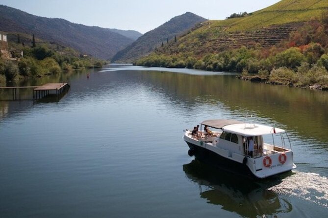 VALE DOURO, Premium Wine Tour, Wine Lunch, Private Boat - Getting started in Porto: meeting point, pickup, and timing that works