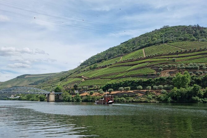 VALE DOURO, Premium Wine Tour, Wine Lunch, Private Boat - Lunch at a farm winery: food, wine pairings, and real downtime