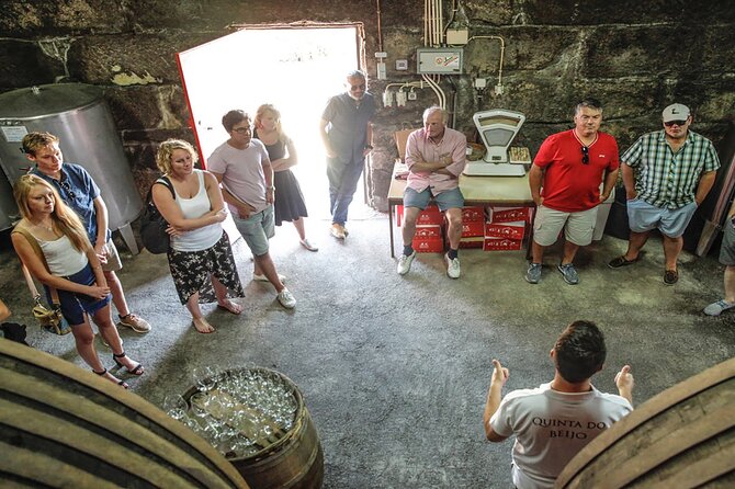 VALE DOURO, Premium Wine Tour, Wine Lunch, Private Boat - The best guides make the difference: names you may get