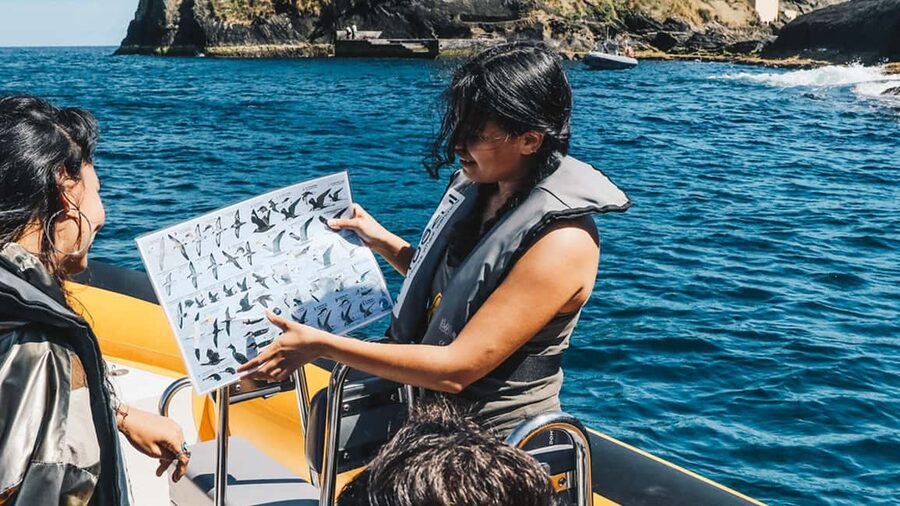 Vila Franca Islet: Bioligist Guided 0% Carbon e-Boat Tour - Quiet, 0% carbon cruising around Ilhéu de Vila Franca