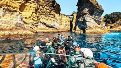 Vila Franca Islet: Bioligist Guided 0% Carbon e-Boat Tour
