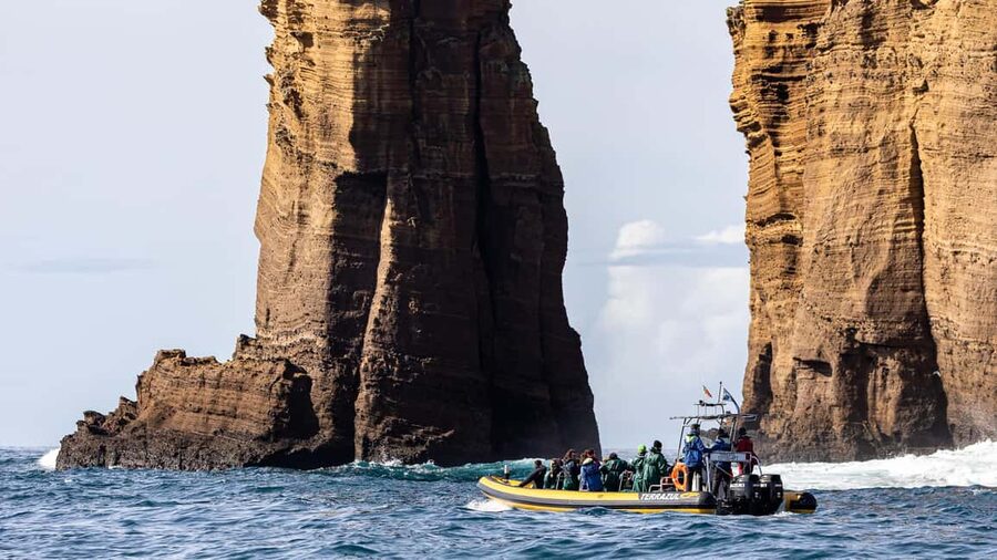 Vila Franca Islet: Bioligist Guided 0% Carbon e-Boat Tour - Wildlife spotting tips for birds, fish, and lightfoot crabs