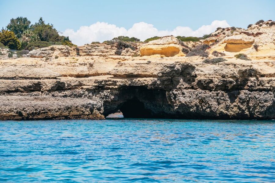 Vilamoura: Benagil Cave Boat Tour with Entry&Dolphin search - Should you book the Benagil Cave boat tour with dolphin search?