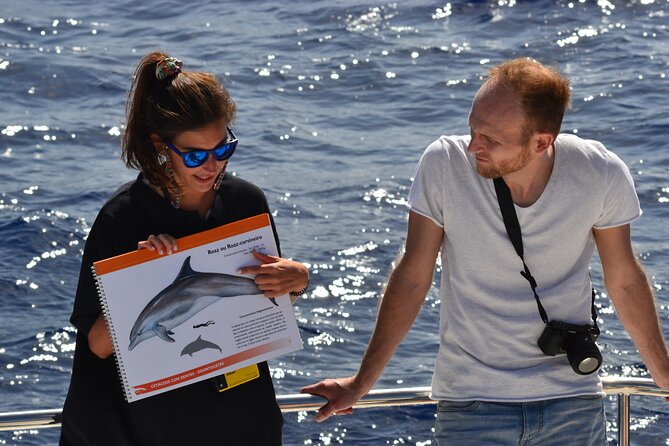 VipDolphins Luxury Whale Watching - Setting sail from Funchal on a small, comfortable catamaran