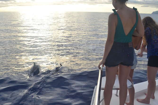 VipDolphins Luxury Whale Watching - The Cabo Girao swim and snorkeling stop: your second big moment