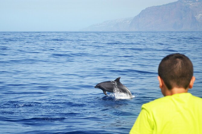VipDolphins Luxury Whale Watching - Comfort on board: seating, bathrooms, and getting settled fast