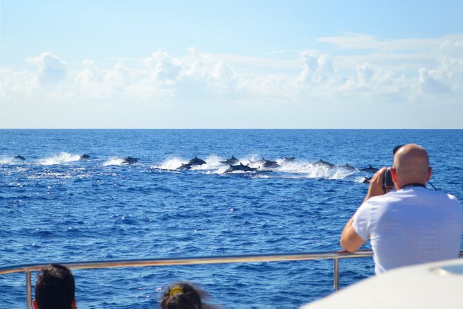 VipDolphins Luxury Whale Watching - Seasickness, weather, and how to be smart on the water