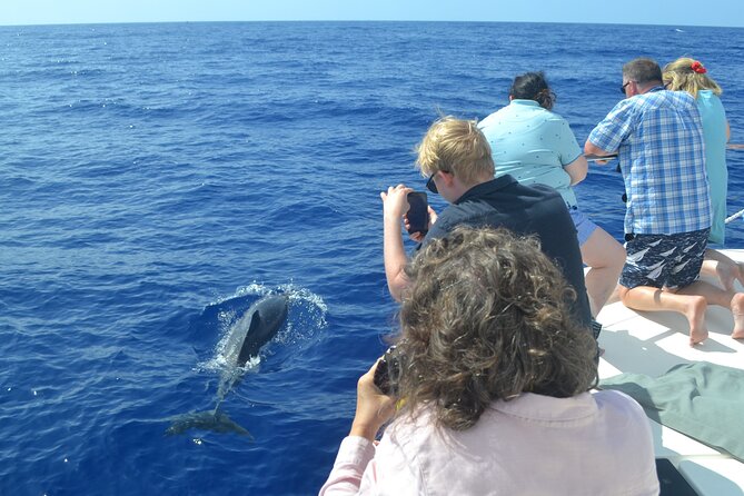 VipDolphins Luxury Whale Watching - Who should book this Madeira whale watching experience
