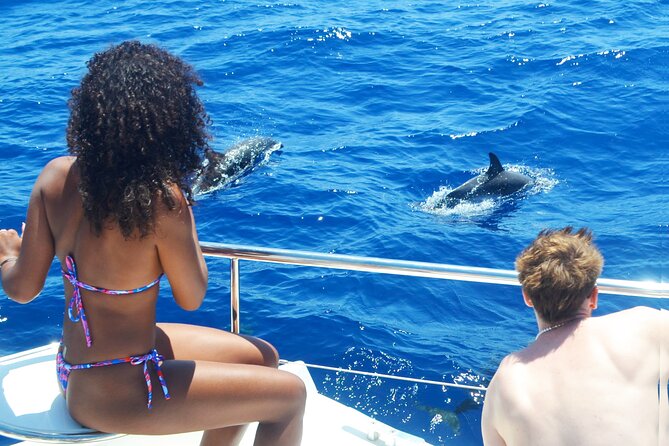 VipDolphins Luxury Whale Watching - Price and value: what you get for $95.53
