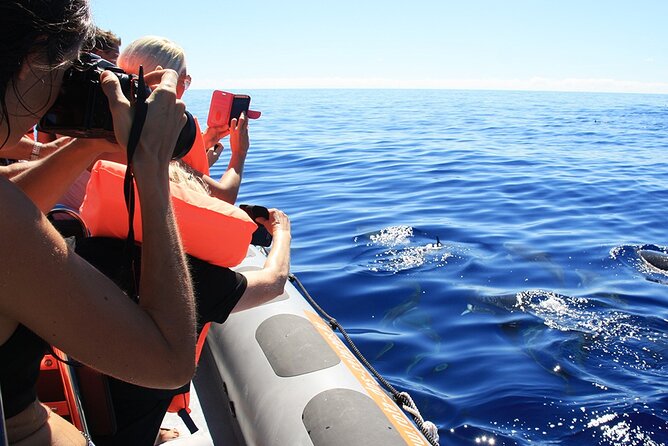 Whale and Dolphin Watching Tour from Funchal - The second trip guarantee: the smart risk-reducer