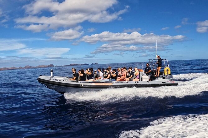 Whale and Dolphin Watching Tour from Funchal - Value check: is $58.07 a good deal for 2.5 hours?