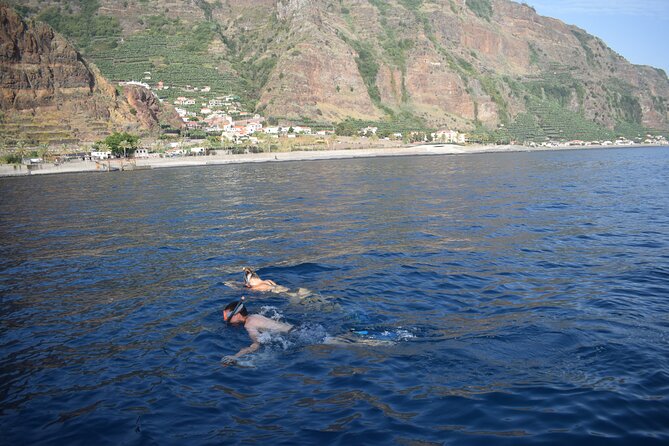 Whale and Dolphin Watching Tour in Madeira - Who This Tour Fits Best (And Who Might Want Another Option)