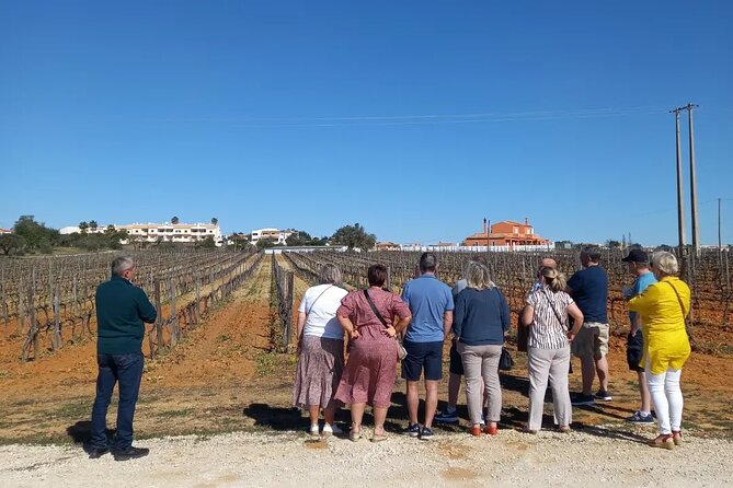 Wine Lovers: Winery Tour w/ Tasting & Tapas (Albufeira/Vilamoura) - Price and value: is $71.38 a good deal for what you get?
